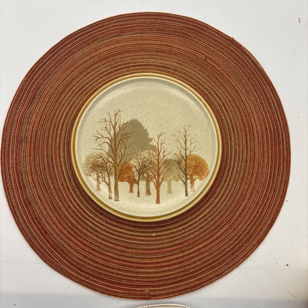 Vintage Mikasa Stylekraft Walnut Grove C0905 7.5” Salad Plate Rare Mint